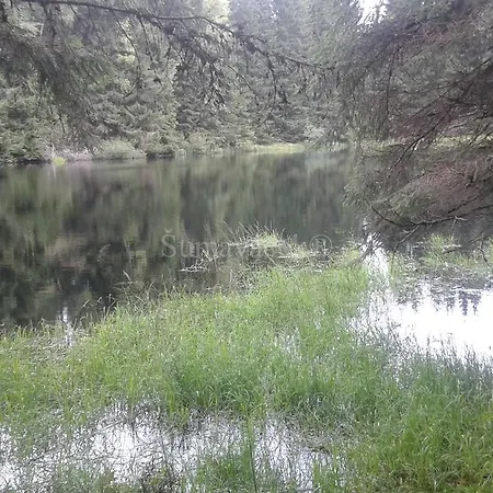 Sumavacek - Exclusive Apartment *