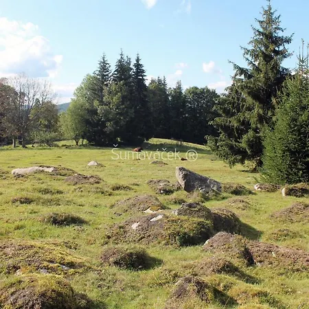 Sumavacek - Exclusive